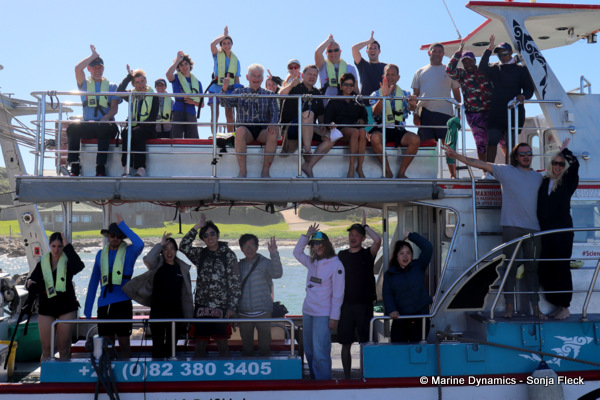 Shark cage diving, South Africa