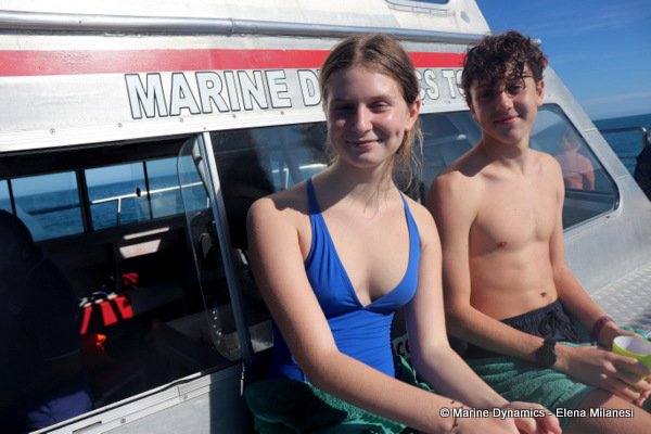 Shark cage diving, South Africa