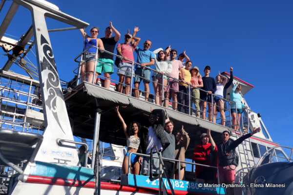 Shark cage diving, South Africa