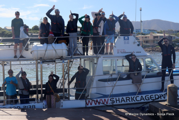 Shark cage diving, South Africa