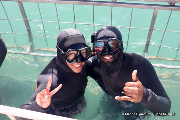 shark cage diving, South Africa