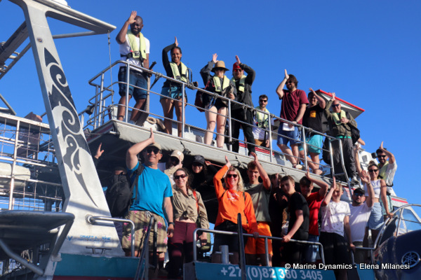 shark cage diving, South Africa