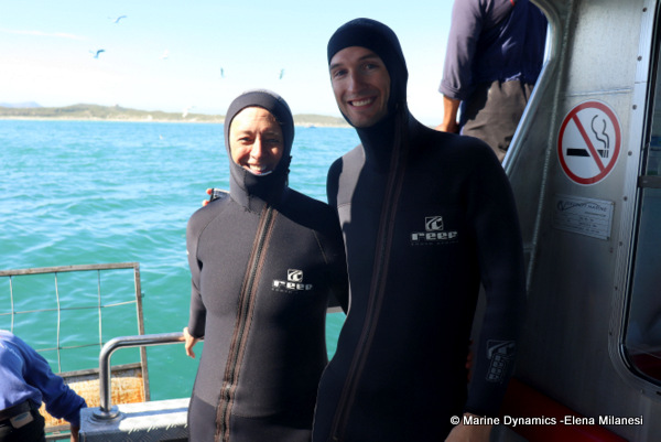 shark cage diving, South Africa