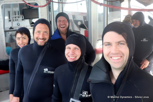 shark cage diving, South Africa