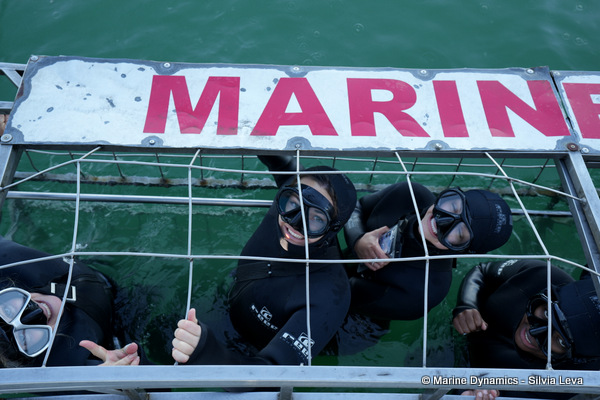 shark cage diving, South Africa