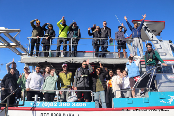 Shark cage diving, South Africa