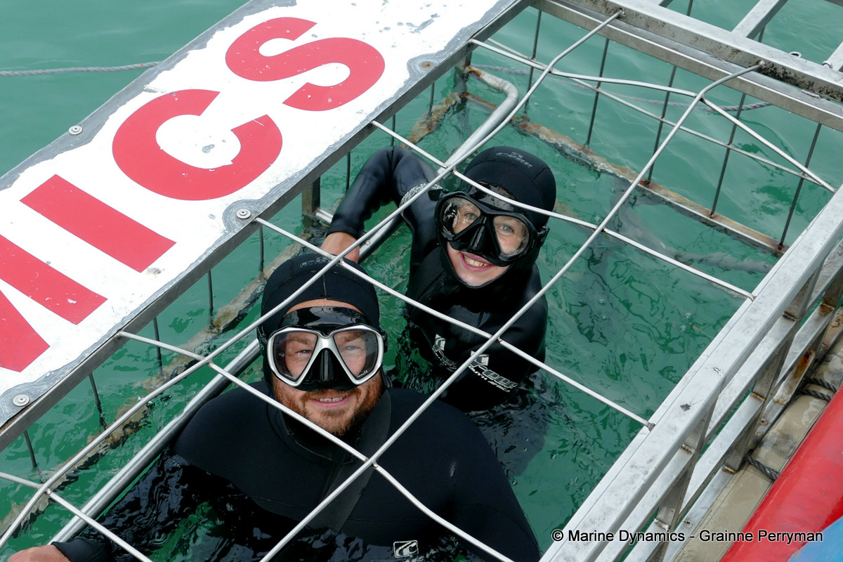 Shark cage diving, South Africa