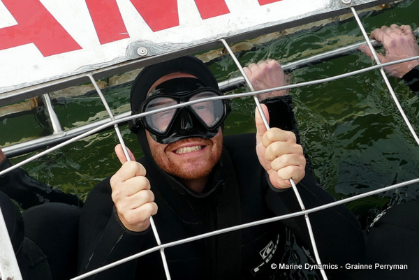 Shark cage diving, South Africa