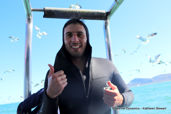 Shark cage diving, South Africa