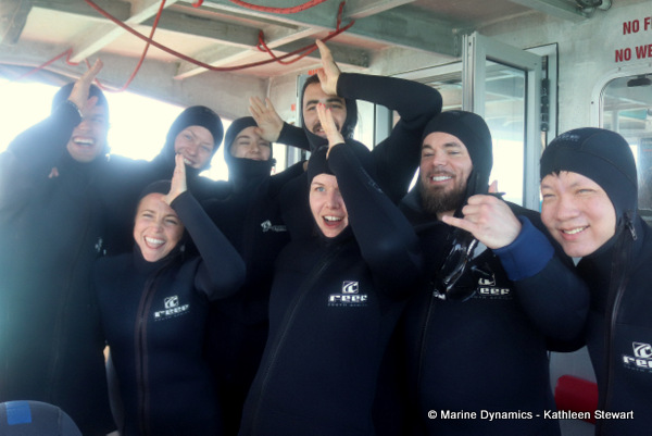 Shark cage diving, South Africa