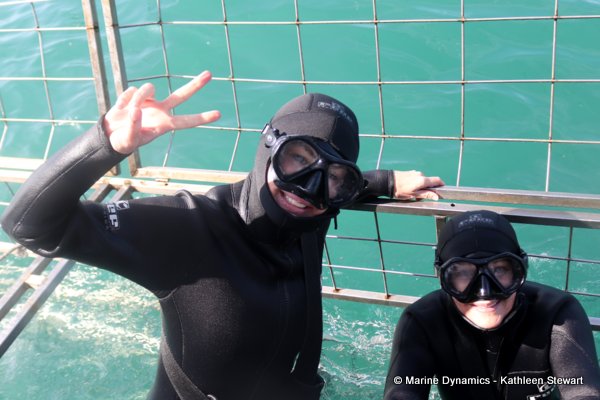 Shark cage diving, South Africa