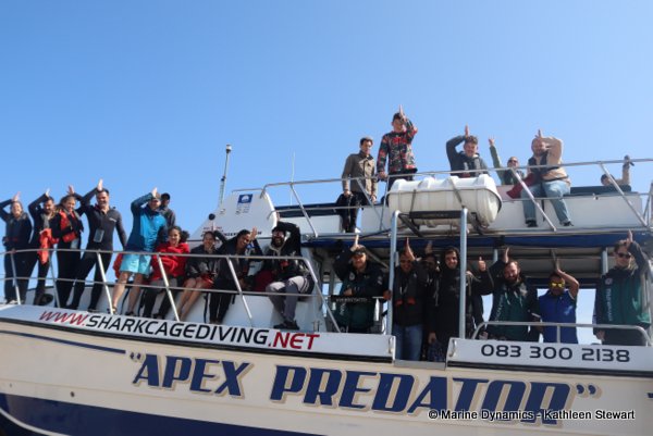 Shark cage diving, South Africa