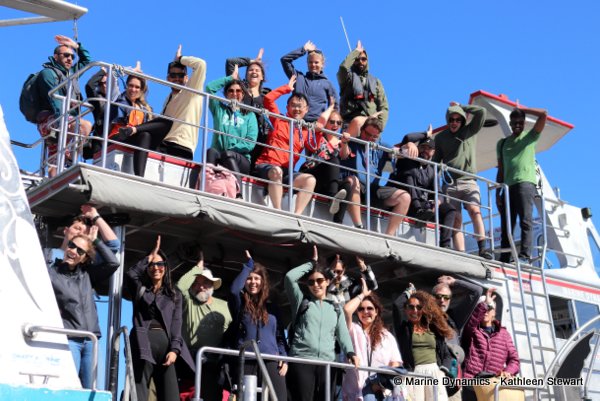 Shark cage diving, South Africa