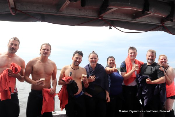 Shark cage diving, South Africa