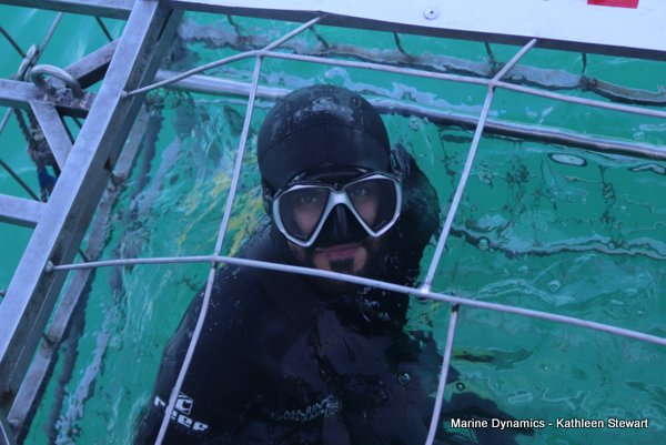 Shark cage diving, South Africa