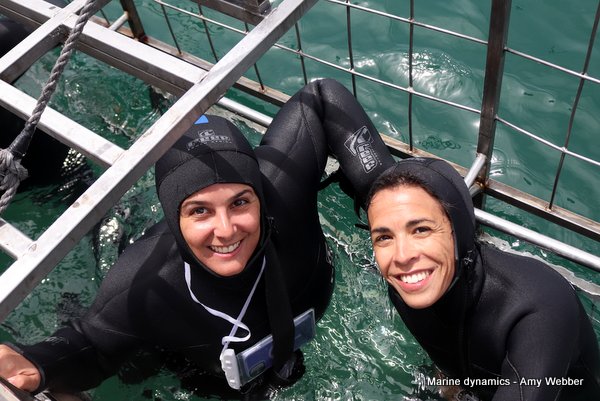 Shark Cage Diving, South Africa