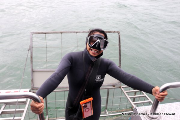 Shark Cage Diving, South Africa