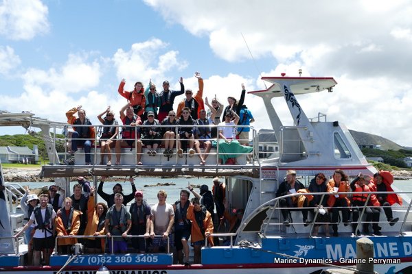 Shark cage diving, Gansbaai, Western Cape