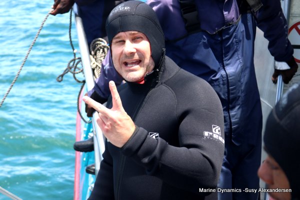 Shark cage diving, Gansbaai, Western Cape