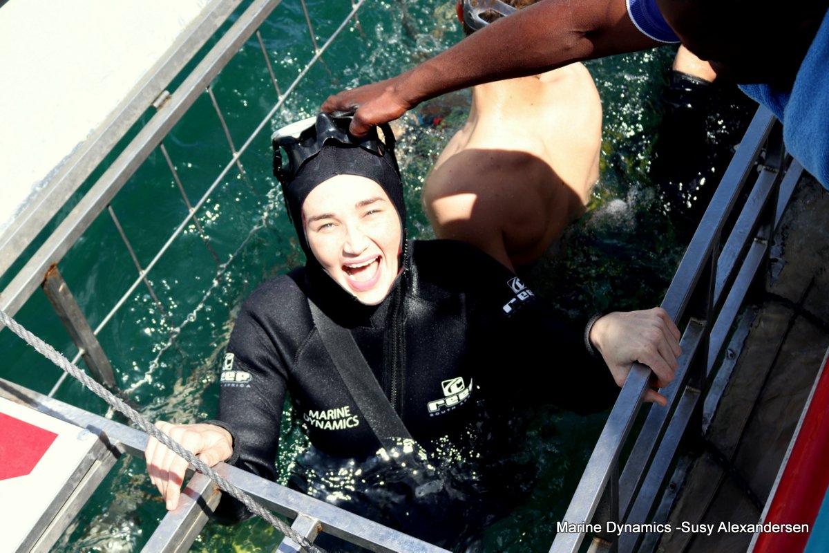 Shark cage diving, Gansbaai, Western Cape