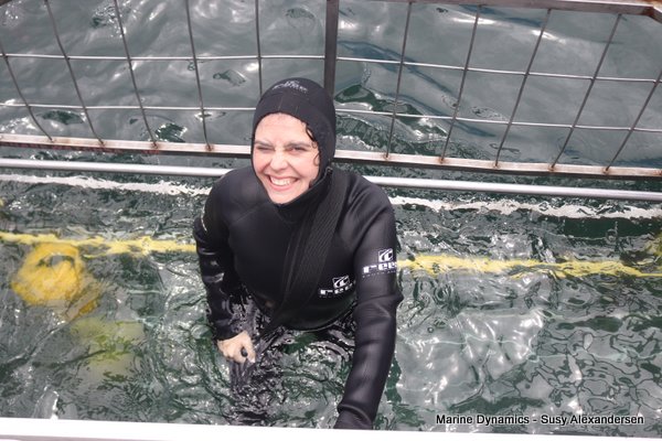 Shark Cage Diving, South Africa