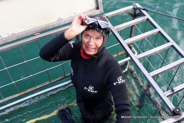 Shark Cage Diving, South Africa