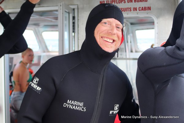 Shark cage diving, Gansbaai, Western Cape