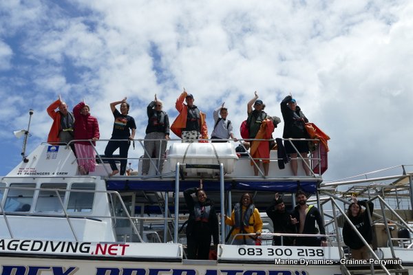 Shark Cage Diving, South Africa