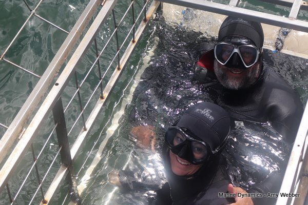 Shark Cage Diving, South Africa