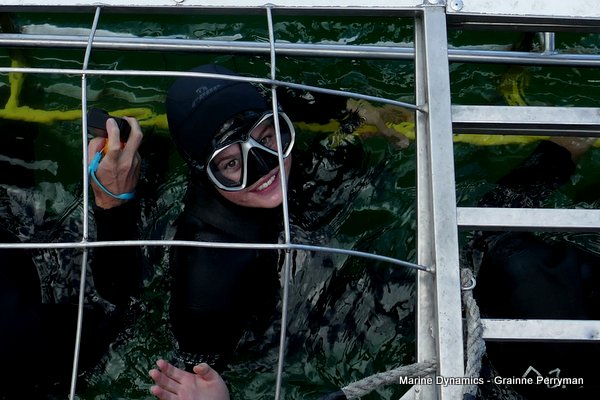 Shark Cage Diving, South Africa