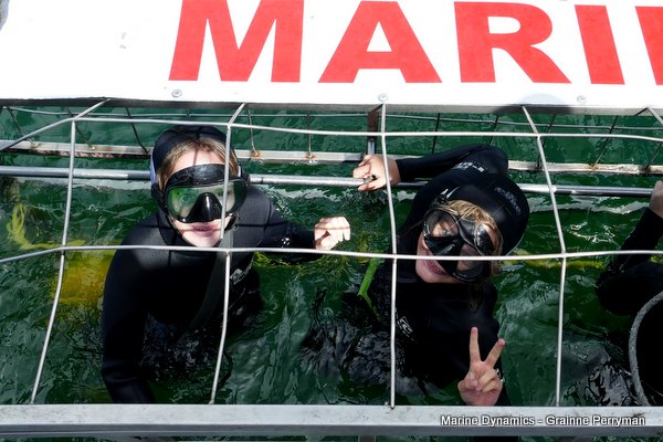 Shark Cage Diving, South Africa
