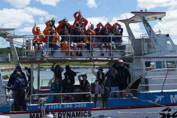 Shark Cage Diving, South Africa
