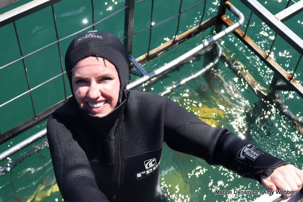 Shark Cage Diving, South Africa