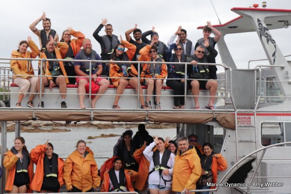 Shark Cage Diving, South Africa