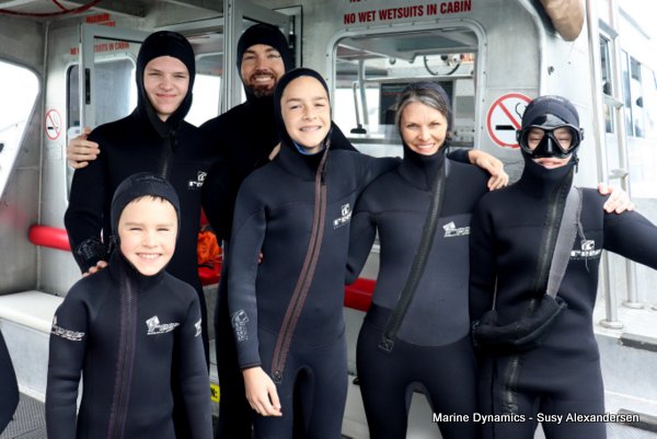 Shark Cage Diving, South Africa