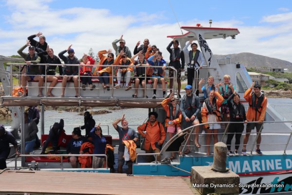 Shark Cage Diving, South Africa