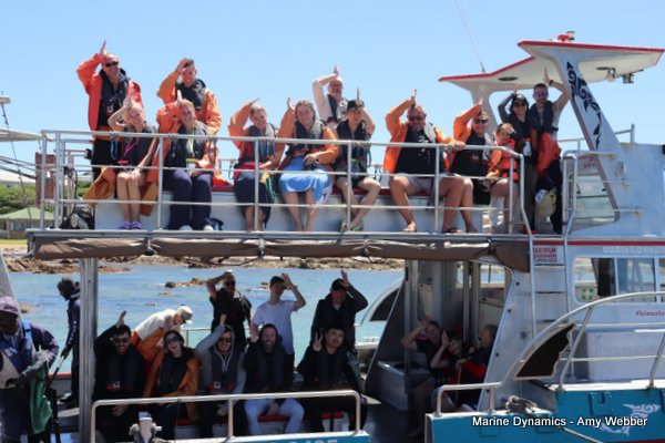 Shark Cage Diving, South Africa