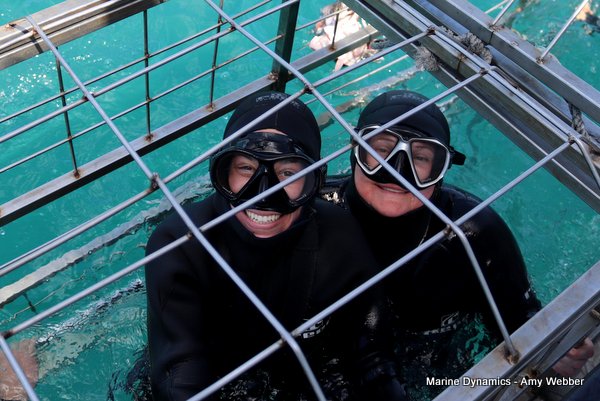 Shark Cage Diving, South Africa