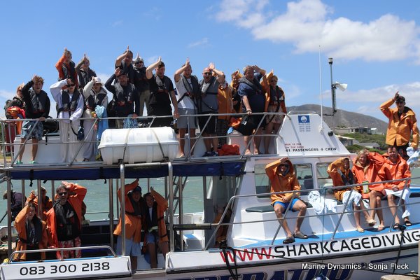 Shark Cage Diving, South Africa