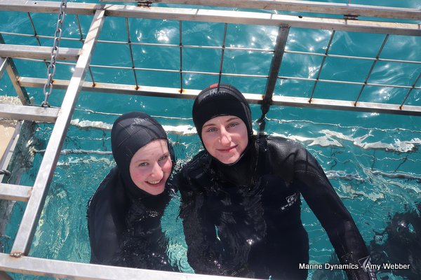 Shark Cage Diving, South Africa
