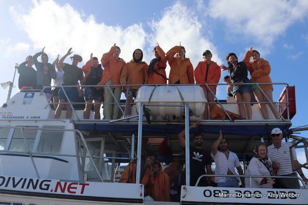 Shark Cage Diving, South Africa