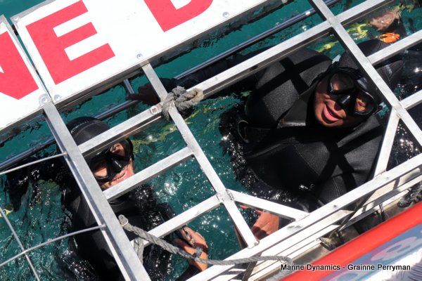 Shark Cage Diving, South Africa