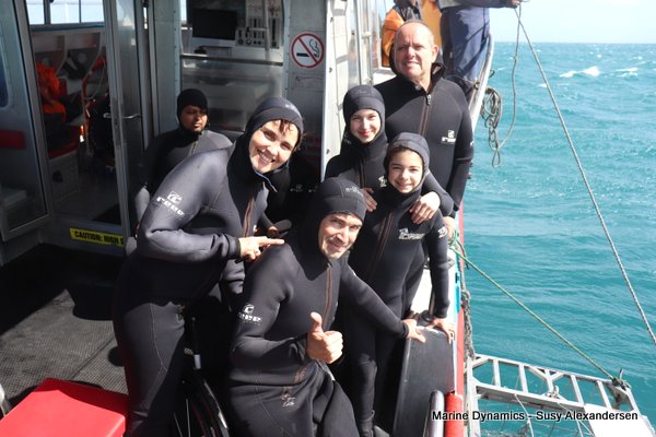 Shark Cage Diving, South Africa