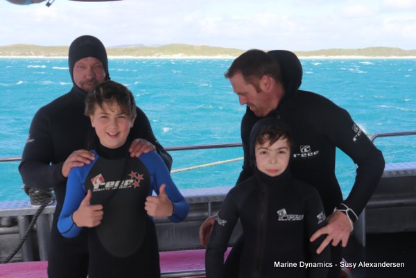 Shark Cage Diving, South Africa