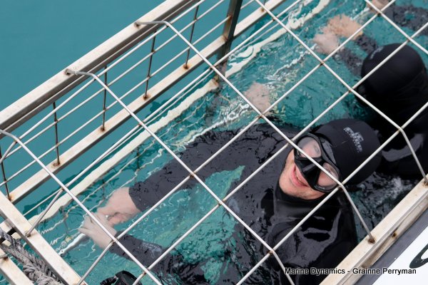 Shark Cage Diving, South Africa