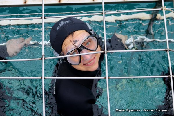 Shark Cage Diving, South Africa