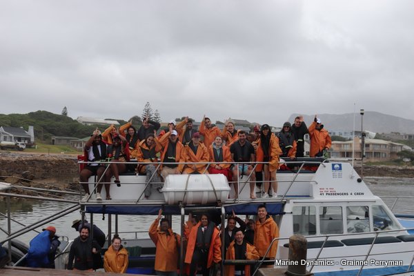 Shark Cage Diving, South Africa