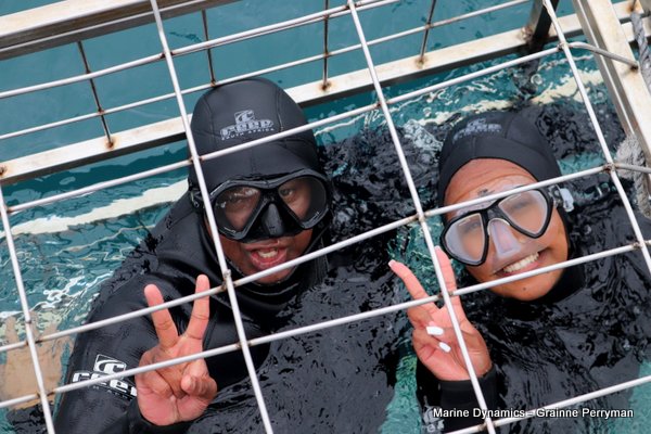Shark Cage Diving, South Africa
