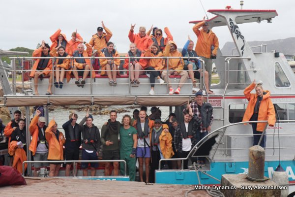 Shark Cage Diving, South Africa