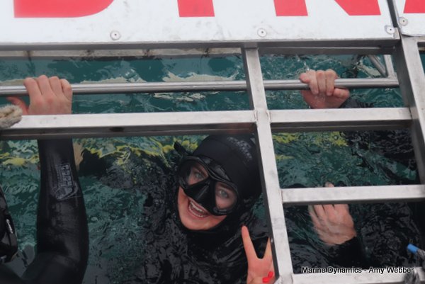 Shark Cage Diving, South Africa